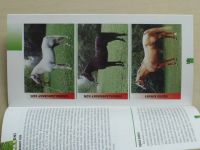 Katalog 1 - Kůň (1995) prospekt