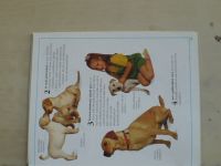 Evans - Štěně - Praktická příručka pro malé chovatele psů (1993)