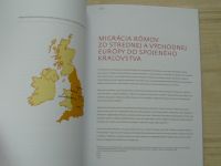 Od segregácie k inklúzii: Rómski žiaci v Spojenom královstve - Pilotný výzkumný projekt 2011