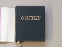 Goethe - Utrpení mladého Werthera (1968)