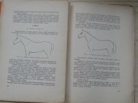 MVDr. Lechner - Studie stavby těla jezdeckého koně (Neubert 1931)