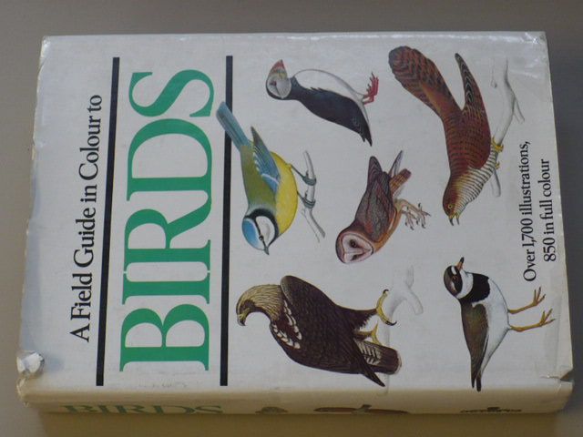 Dr. Černý - Birds (1975) anglicky
