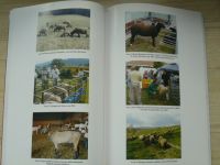 Ročenka chovu ovcí a koz v České republice za rok 2006 (2007)