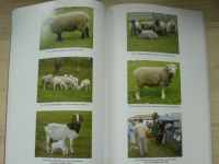 Ročenka chovu ovcí a koz v České republice za rok 2006 (2007)