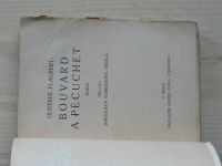 Flaubert - Bouvard a Pécuchet (Hynek 1919)