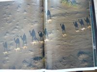 Haas - Očima bohů - Jaká je Afrika shora - National Geographic