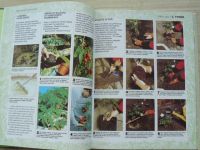 Zahradníkův kalendář (1997)