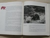 Teren - Po stopách vzácnej zveri (1980) slovensky