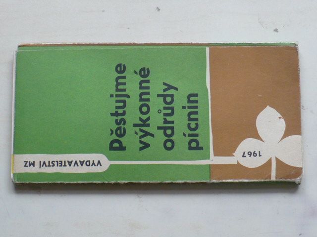 Pěstujeme výkonné odrůdy pícnin (1967)