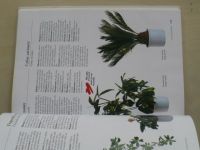 Wolff - Jak pěstovat pokojové rostliny (2002)