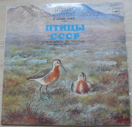 Птицы СССР - Определитель по голосам - Birds Of The Soviet Union (1987)