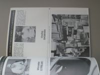 Katalog výtvarných umělců olomoucké oblasti A/Ž (Dílo 1989)