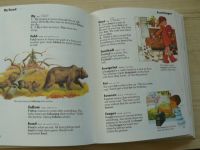 Illustrated First Dictionary- Výkladový slovník pro děti s přepisem výslovnosti a českými ekivalenty