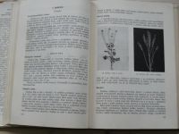 Speciální pěstování rostlin (SZN 1954) Učební text pro zemědělské technické školy