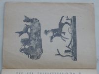 Zemánek - Práce ze šišek a větví (1923)