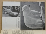Heráň - Fotografujeme zvířata (1960) sešit