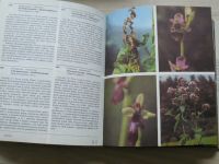 Randuška, Šomšák, Háberová - Barevný atlas rostlin (1986)