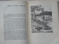 Hubálek - Lesem i luhem - Obrázky z přírody (ČMJ 1940)