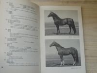 Česko-slovenský terminologický slovník z chovu koní s německými ekvivalenty (1970)