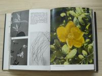 Novák - Velký obrazový atlas rostlin (1981)
