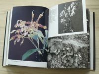 Novák - Velký obrazový atlas rostlin (1981)