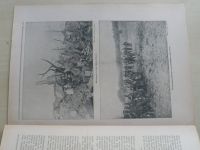 Der Krieg in Wort und Bild 214 (1914-18) německy