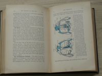 Holmes - The Biology of the Frog (London 1916) Biologie žab