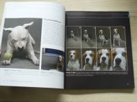 Malý - Fotografujeme psy a jiná zvířata (2008)