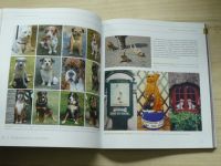 Malý - Fotografujeme psy a jiná zvířata (2008)