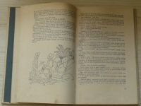 Bernard - Srub u Zlatého klíče (1947) Knižnice Rychlých šípů sv. 4