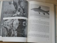 Šimek - Rybářství na tekoucích vodách (SZN 1959)