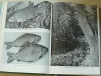 Šimek - Rybářství na tekoucích vodách (SZN 1959)
