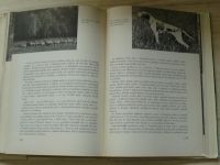 Lesy v Československu (1960)