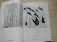 Sovinec 1992 - 1994 - Katalog výstavy