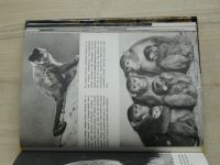 Staněk - Velký obrazový atlas zvířat (1973)