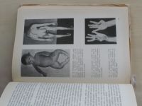 Mikula - Nemoci kosterního svalstva (1974)