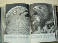 Staněk - Velký obrazový atlas zvířat (SNDK 1965)