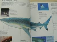 Žraloci a ostatní predátoři hlubin - Život zvířat (2008)