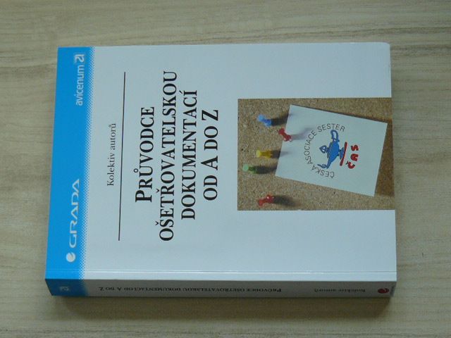 Průvodce ošetřovatelskou dokumentací od A do Z (2002)