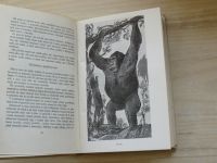 Iljin, Segal - Jak se stal člověk vládcem přírody I. II. (1949) 2 knihy