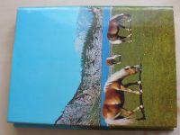 The Horse - The Complete Book of Horses and Horsemanship (1978)