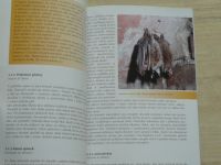 Andreas, Cepáková - Metodická příručka pro praktickou ochranu netopýrů (2004)