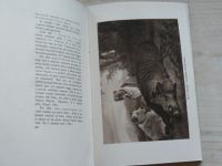 Fl. Zapletal - Světový malíř-hanák - Listy z dějin moravského baroku (1914)