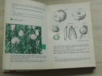 Botanika pro šestý ročník základních devítiletých škol (1974)