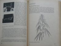 Kuhn, Skládal - Speciální pěstování rostlin (SZN 1962)