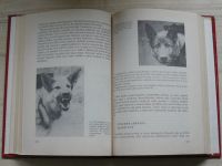 Mikulica - Poznej svého psa - Základy etologie a psychologie psa (1985)