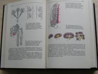 Rosypal a kol. - Přehled biologie (SPN 1987)