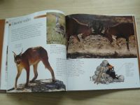 National Geographic - Edice Příroda - Delano - Poušť (2001)