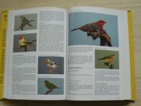 Verhoef, Verhallenová - Encyklopedie ptáků v klecích a voliérách (2001)
