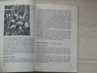 Pokorný - Ořešáky (Brázda 1952) Lesnická knihovna sv.18